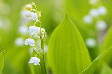 《漫威蜘蛛侠2》PC配置需求公布 RTX4090爽玩游戏